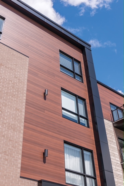 Vinyl siding style option 1